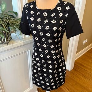 Jovanna London Dress Size 6 Black White Floral Fit & Flare A-Line Knee Length